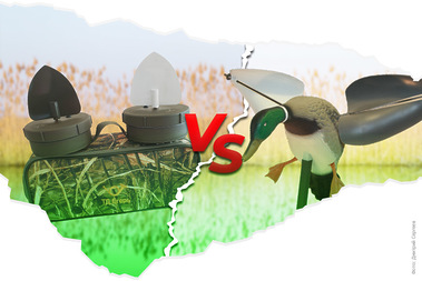 Сравнение нашего махокрыла с американским Mojo